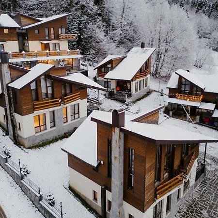 7 Cottage In Bakuriani Exteriér fotografie