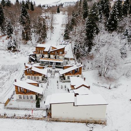 7 Cottage In Bakuriani Exteriér fotografie