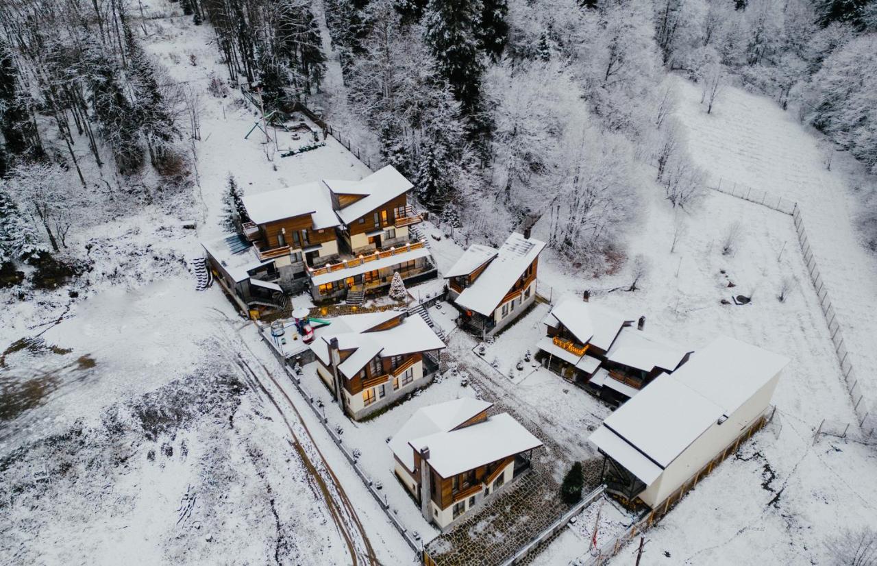 7 Cottage In Bakuriani Exteriér fotografie