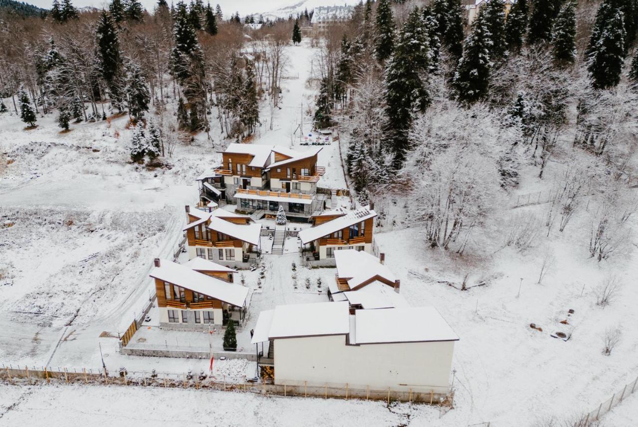 7 Cottage In Bakuriani Exteriér fotografie